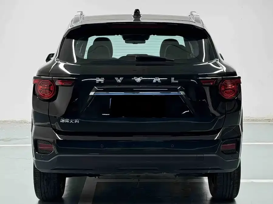 Haval Big Dog PLUS Haval Big Dog PLUS 2023 2.0T 2WD Trendy Wild Edition Plus 2024 — миниатюра 5