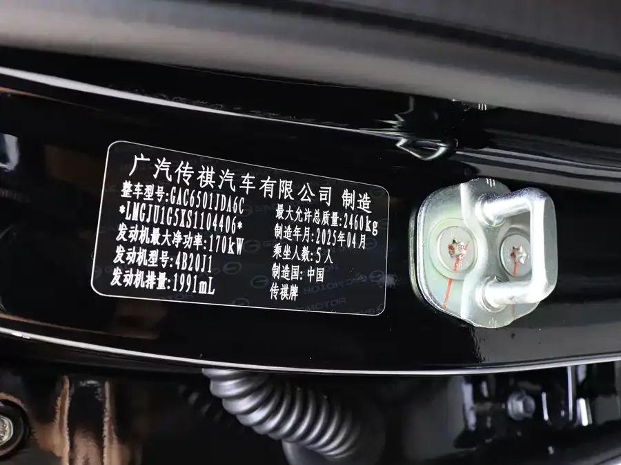 GAC Trumpchi GS8 Trumpchi GS8 2025 Pilot Series 2.0TGDI 2WD Luxury Edition 5 Seaters 2025 — миниатюра 5