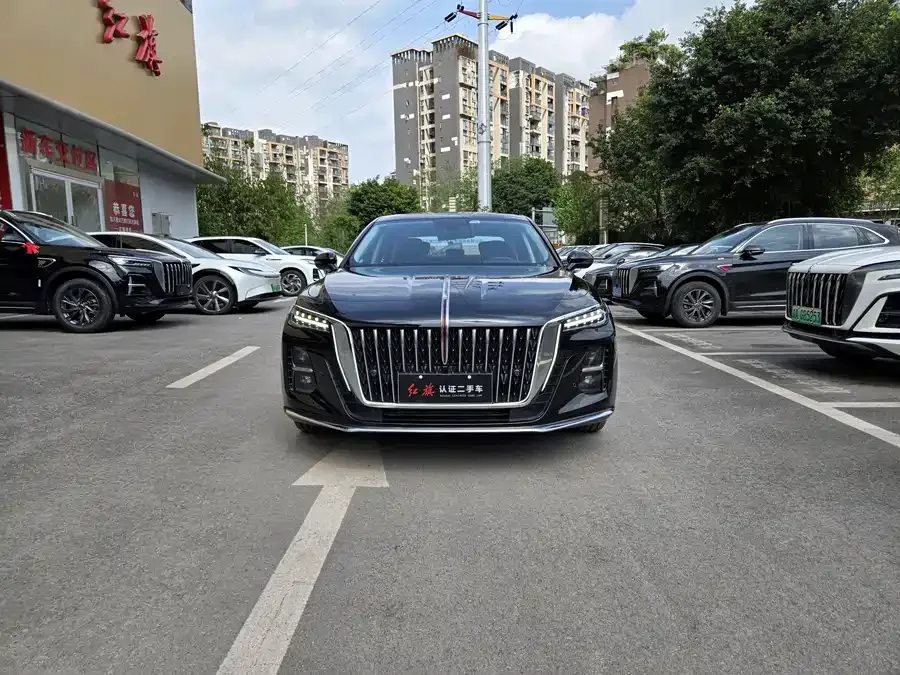 Hongqi H5 Hongqi H5 2023 2.0T Automatic Intelligent Connected Flag Edition 2023 — миниатюра 3