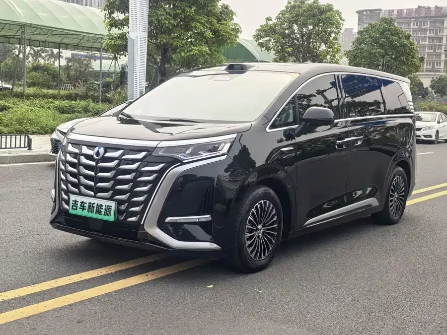 BYD D9 2025