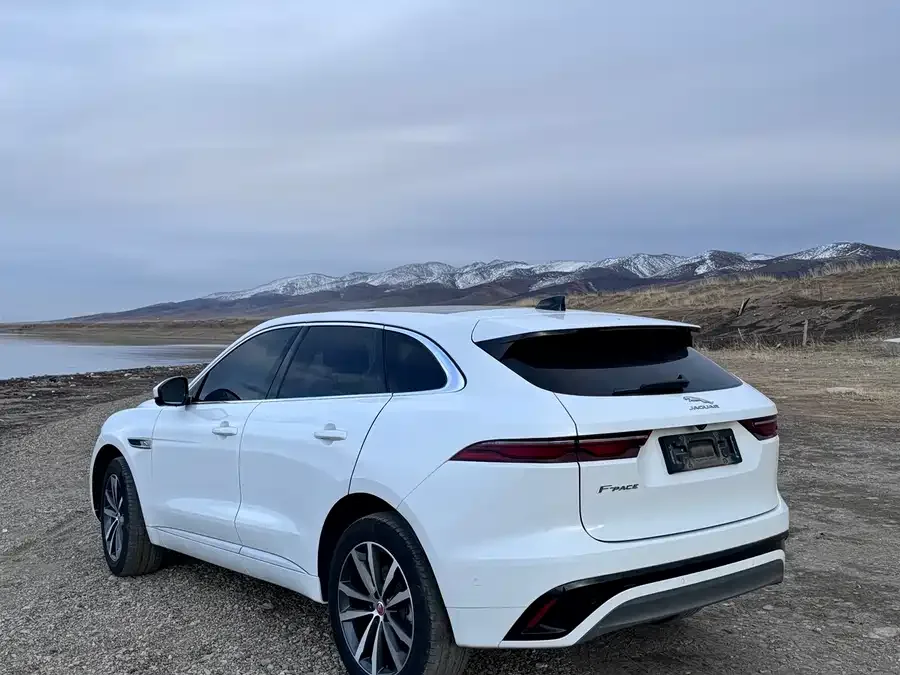 Jaguar F-Pace 2021 250PS R-Dynamic S 2022 — миниатюра 3