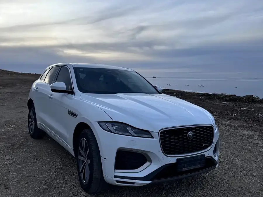 Jaguar F-Pace 2021 250PS R-Dynamic S 2022 — миниатюра 4