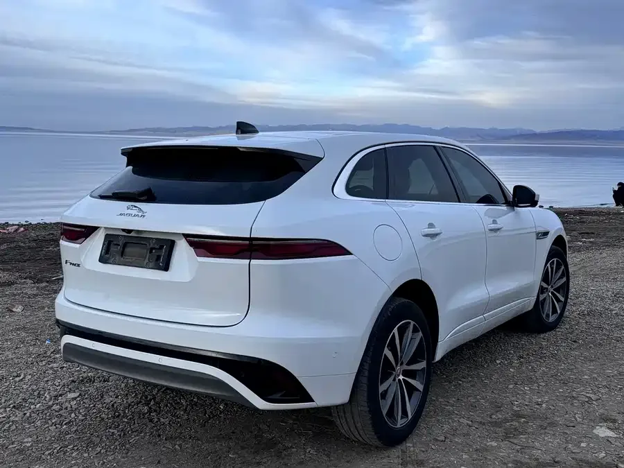 Jaguar F-Pace 2021 250PS R-Dynamic S 2022 — миниатюра 5