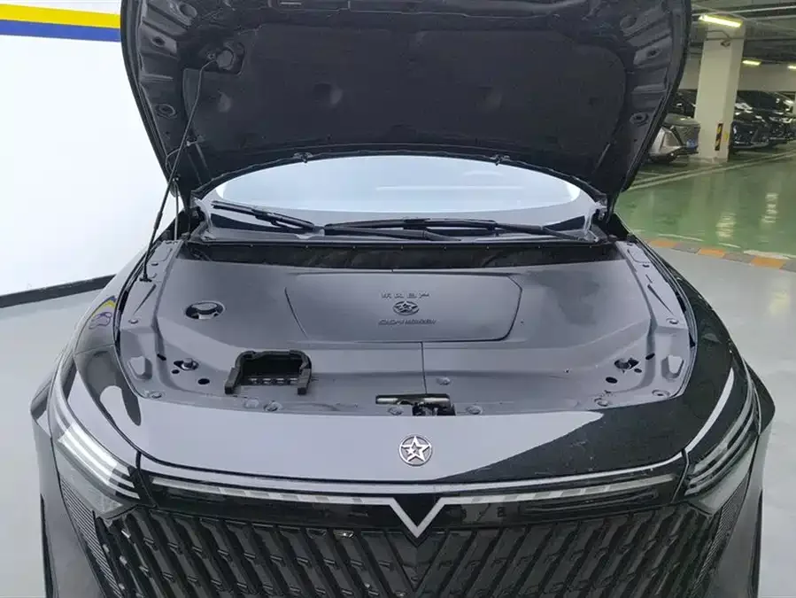 Venucia Big V DD-i Venucia V DD-i 2023 110KM iE version 2025 — миниатюра 3