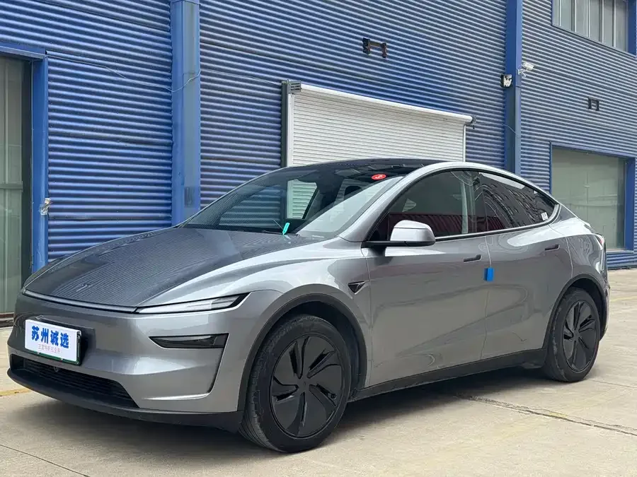 Tesla Model Y Model Y 2025 rear-wheel drive first edition 2025 — миниатюра 2