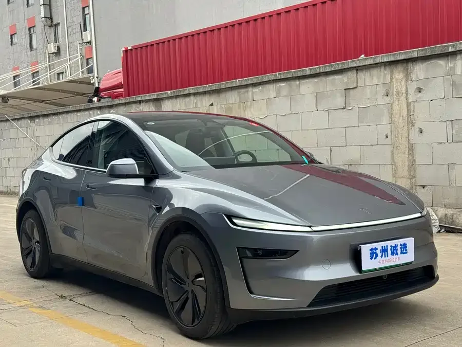 Tesla Model Y Model Y 2025 rear-wheel drive first edition 2025 — миниатюра 4