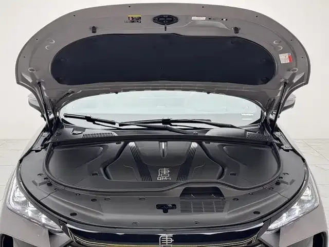 BYD Tang New Energy Tang New Energy 2025 DM-i 115KM Flagship 2025 — миниатюра 5