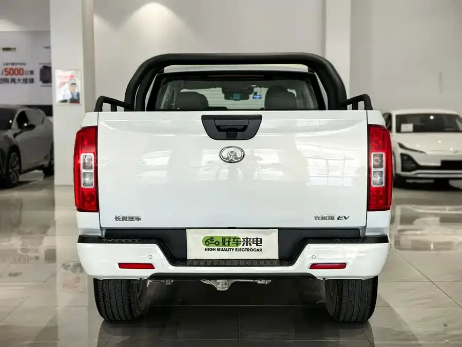Great Wall new energy vehicles 2021 Cannon New Energy Commercial Elite Double Duplex 2023 — миниатюра 5