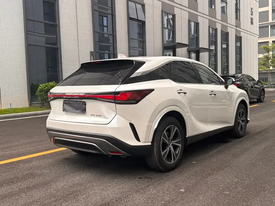 Lexus RX 2025 300 4WD Junxiang Edition 2025 — миниатюра 3