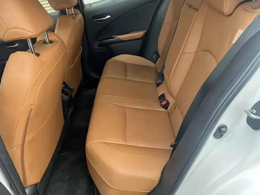 Lexus UX New Energy Lexus UX PHEV 2020 300e Pure Edition 2022 — миниатюра 4