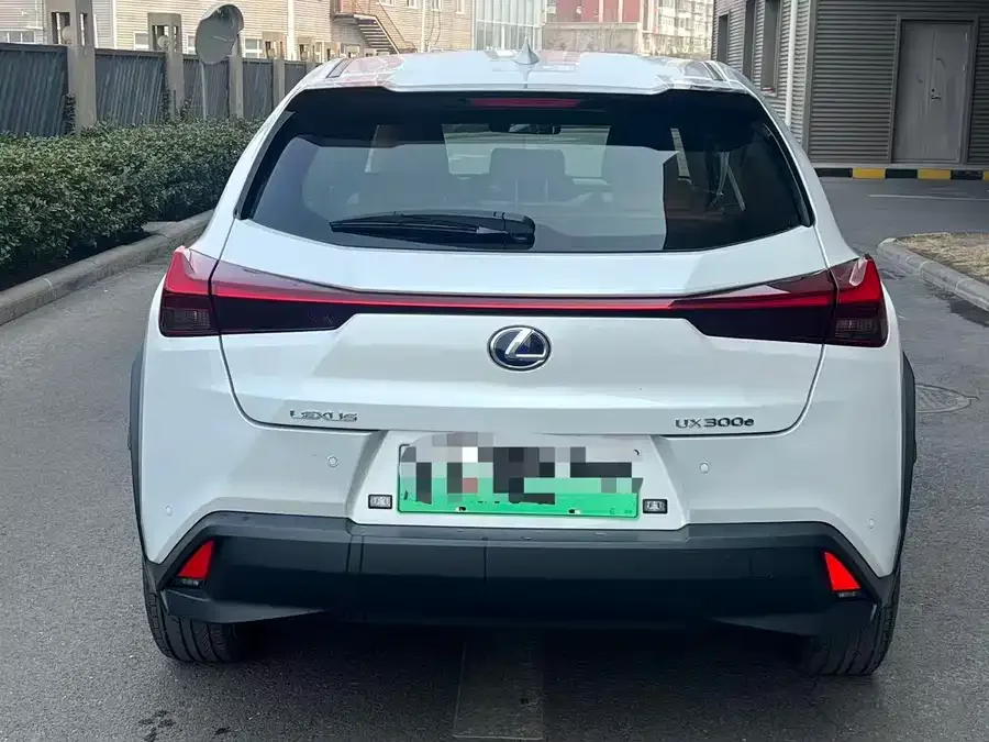 Lexus UX New Energy Lexus UX PHEV 2020 300e Pure Edition 2022 — миниатюра 5