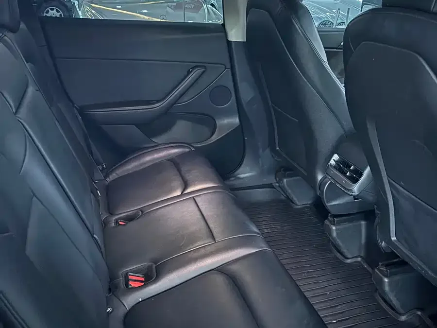 Tesla Model Y Model Y 2021 Standard Range Rear-wheel Drive Version 2022 — миниатюра 2