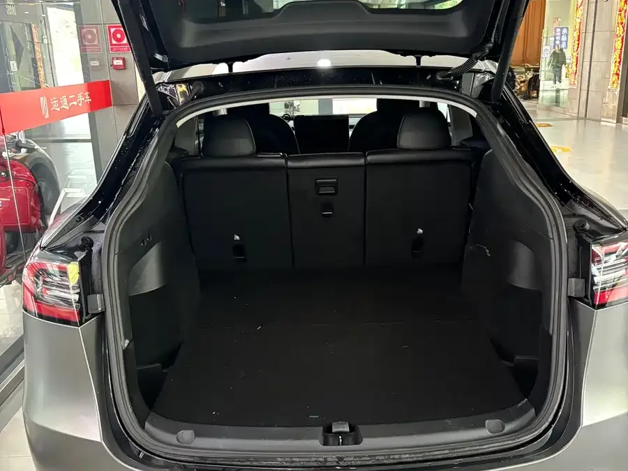 Tesla Model Y Model Y 2021 Standard Range Rear-wheel Drive Version 2022 — миниатюра 5