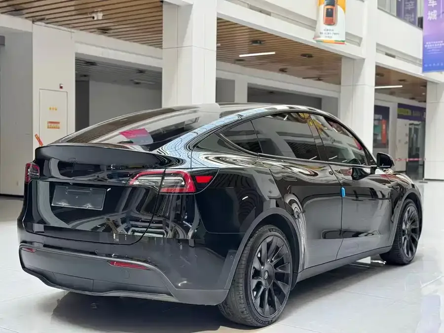 Tesla Model Y Model Y 2021 Standard Range Rear-wheel Drive Version 2022 — миниатюра 2