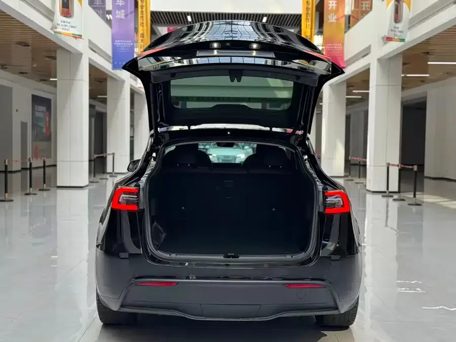 Tesla Model Y Model Y 2021 Standard Range Rear-wheel Drive Version 2022 — миниатюра 3