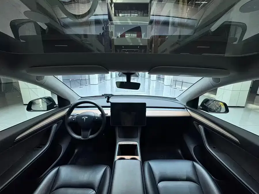 Tesla Model Y Model Y 2021 Standard Range Rear-wheel Drive Version 2022 — миниатюра 4