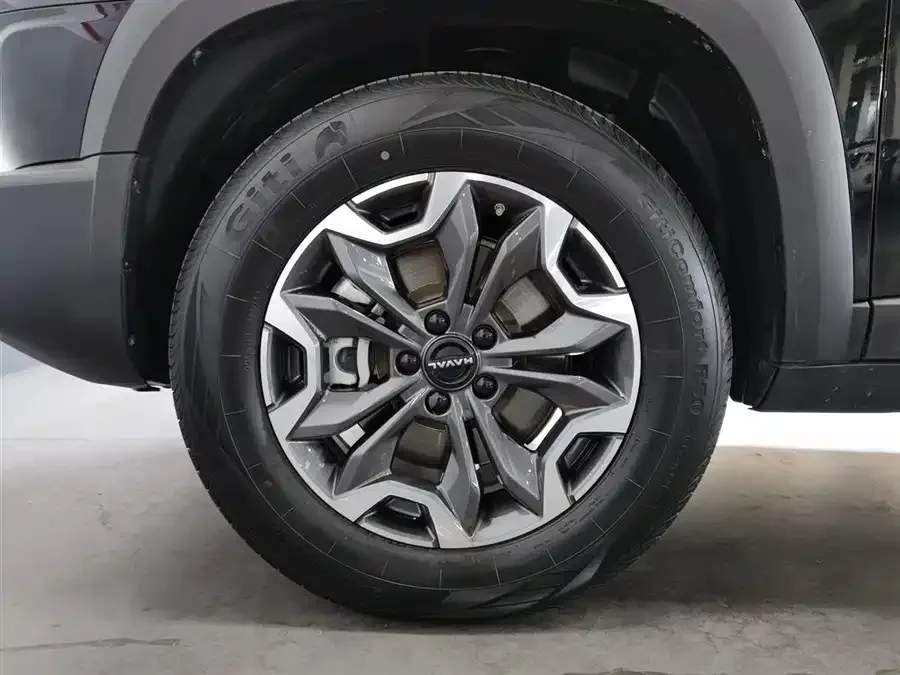 Haval Big dog Haval Big Dog 2024 2.0T DCT Chinese Pastoral Dog Edition 2024 — миниатюра 5
