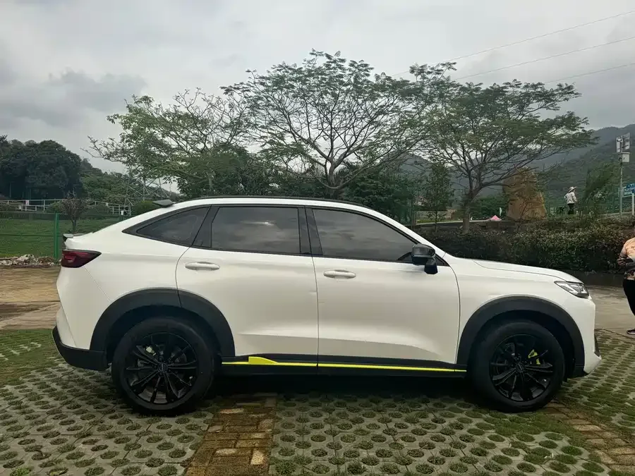 Haval H6S Haval H6S 2022 2.0T 2WD Joy Run Edition 2023 — миниатюра 5