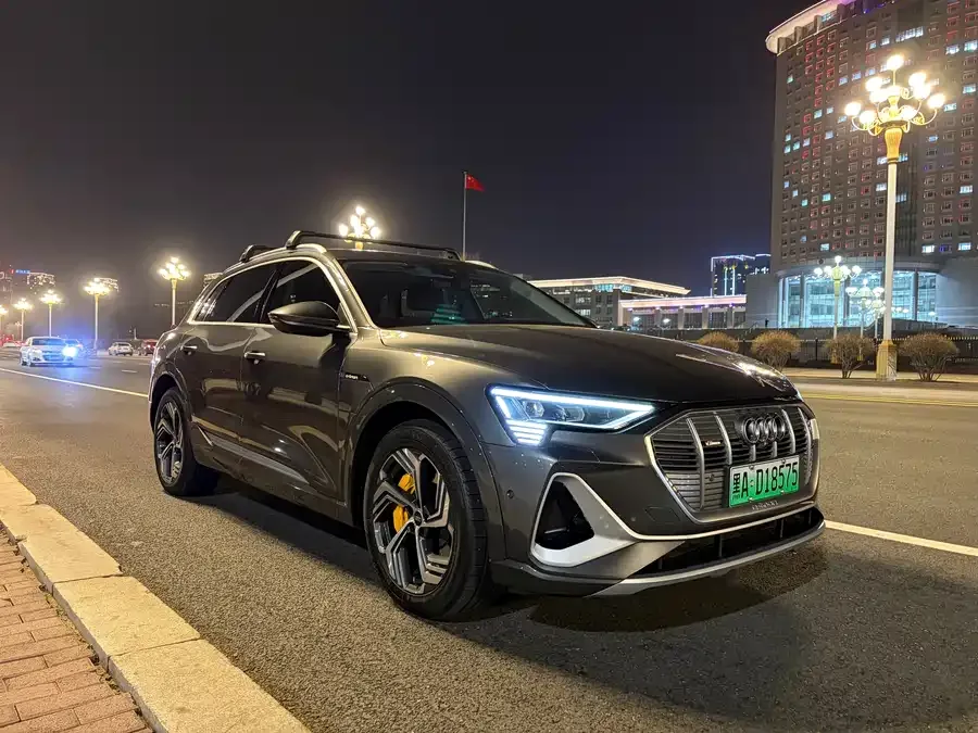 Audi e-tron 2021 50 quattro model selection 2022 — миниатюра 5