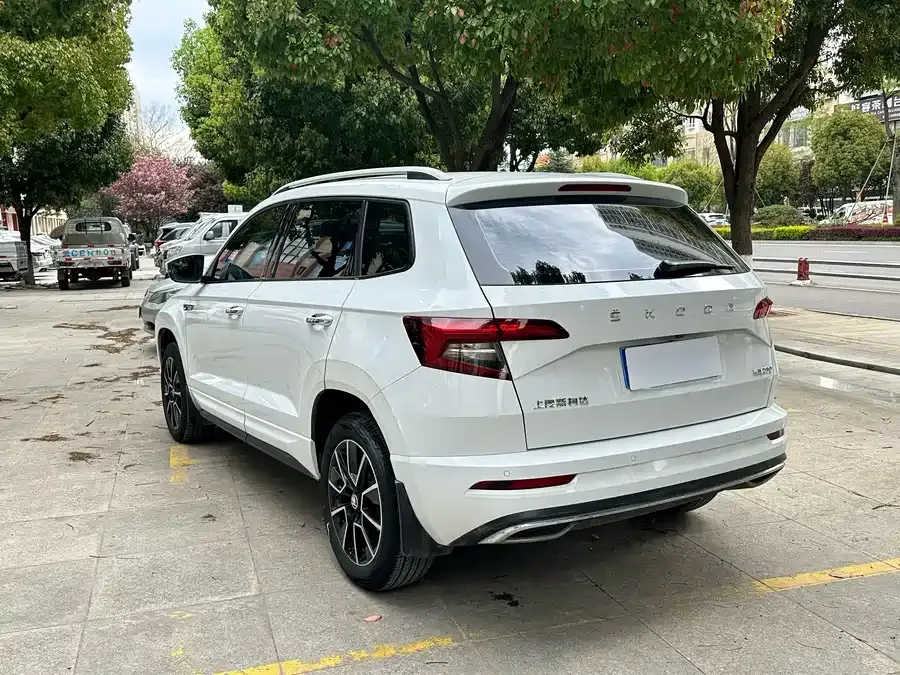 Skoda Karoq Korok 2023 TSI280 Luxury Edition 2023 — миниатюра 4