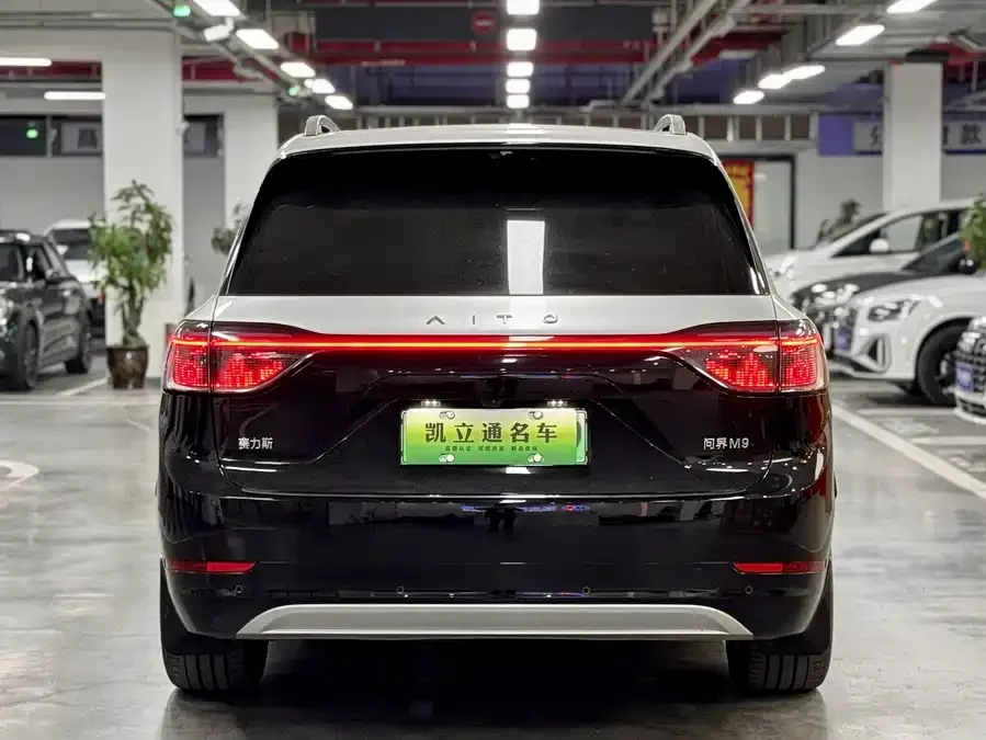 AITO M9 Wenjie M9 2024 Extended Range Max Edition 42kWh 5-seater Edition 2024 — миниатюра 4