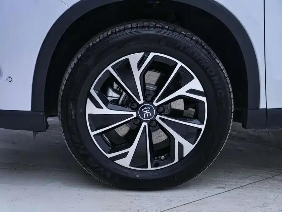 BYD Song Pro New Energy Song Pro New Energy 2026 DM-i 133KM Super Edition 2025 — миниатюра 3