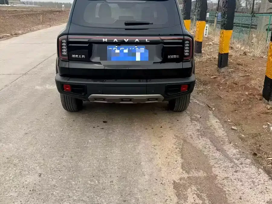 Haval Big dog Haval Big Dog 2024 1.5T DCT Border Collie Edition 2024 — миниатюра 3