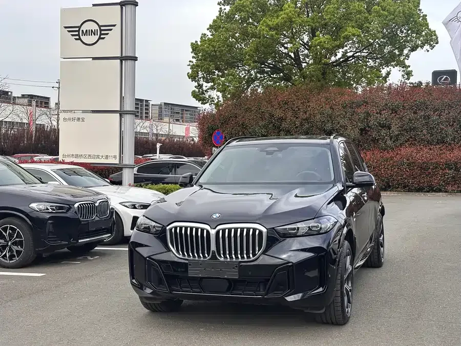 BMW X5 2024
