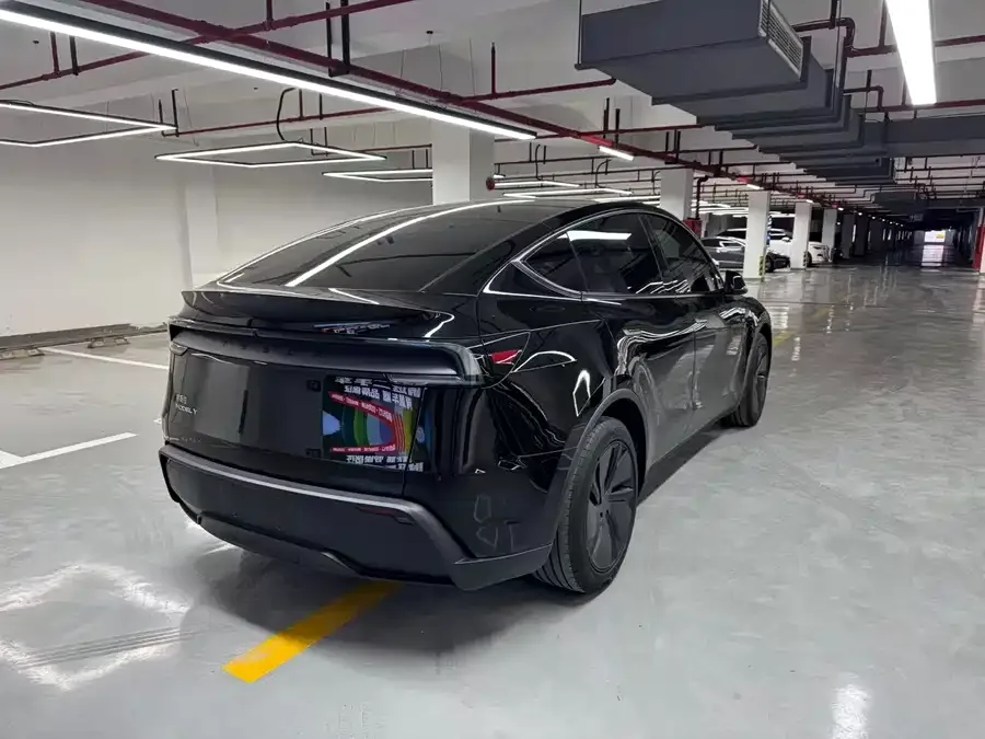 Tesla Model Y Model Y 2025 rear-wheel drive first edition 2025 — миниатюра 2