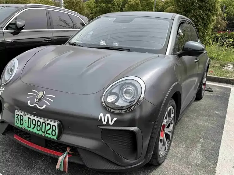 ORA Good Cat GT ORA Good Cat GT 2023 Mulan Edition 401km Premium Edition 2023 — фото 1, купить с доставкой в Москву