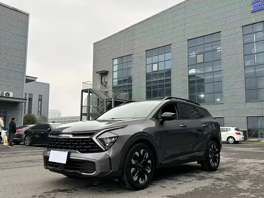 Kia Lion Platinum 2023 Lion Bo Tuojie 2.0T 2WD Premium Edition 2023 — фото 1, купить с доставкой в Москву
