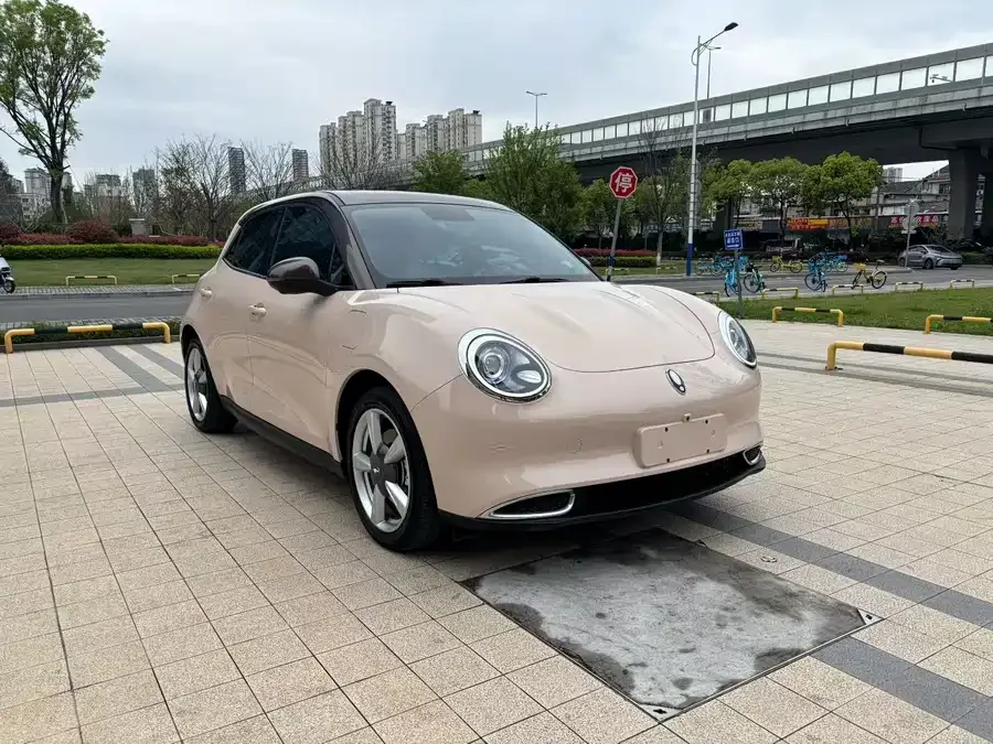 ORA good cat Euler Good Cat 2022 400km standard range premium lithium iron phosphate 2022 — фото 1, купить с доставкой в Москву