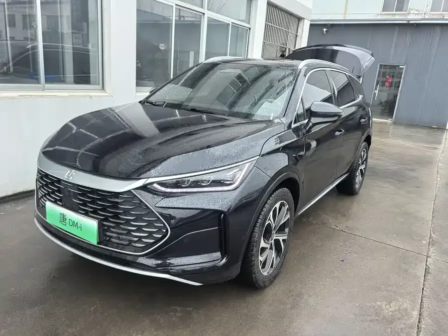 BYD Tang New Energy 2025