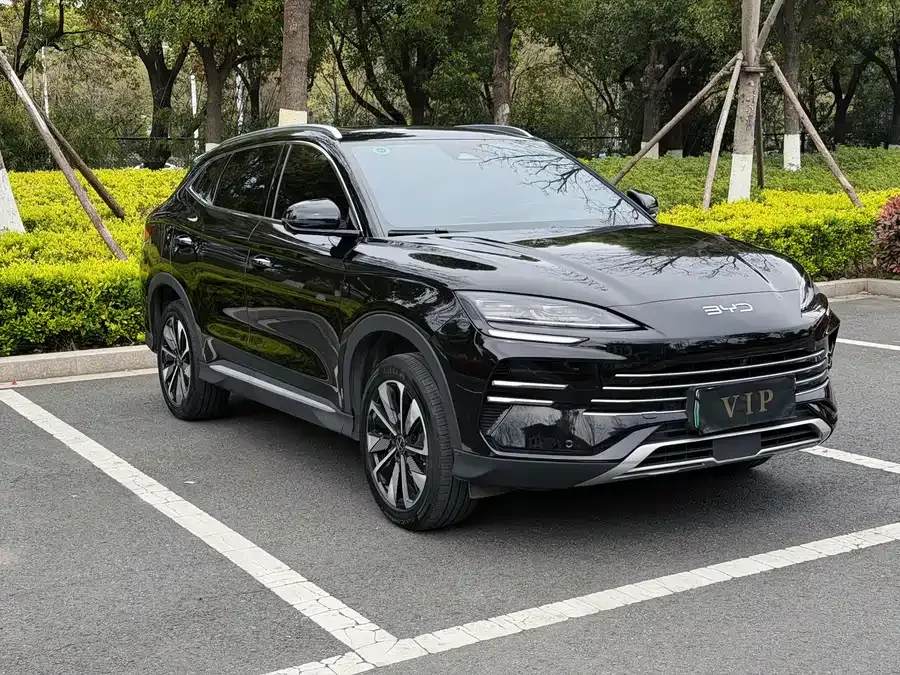 BYD Song PLUS New Energy Song PLUS New Energy 2025 DM-i 112KM Premium Edition 2025 — миниатюра 3