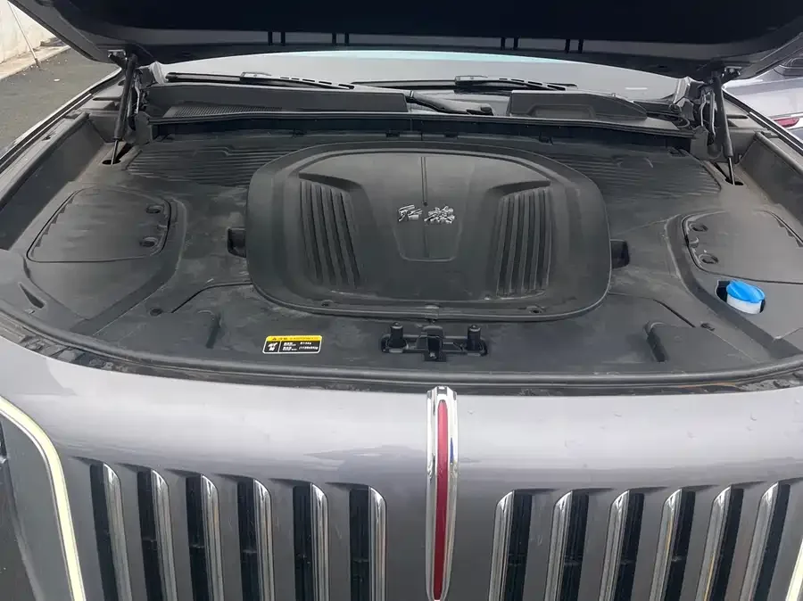 Hongqi E-HS9 Hongqi E-HS9 2022 690km Flagship Edition Six Seaters 2023 — миниатюра 4