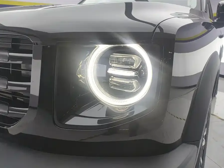 Haval Big dog Haval Big Dog 2021 1.5T DCT 2WD Border Collie Edition 2022 — миниатюра 5
