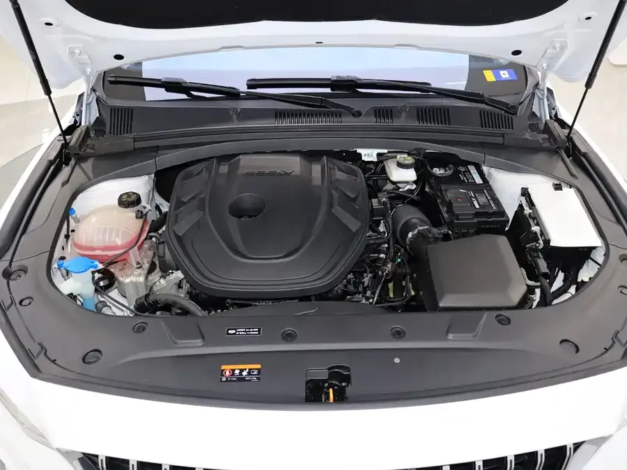 Geely Xingrui Xingrui 2023 2.0TD Premium Edition 2023 — миниатюра 3
