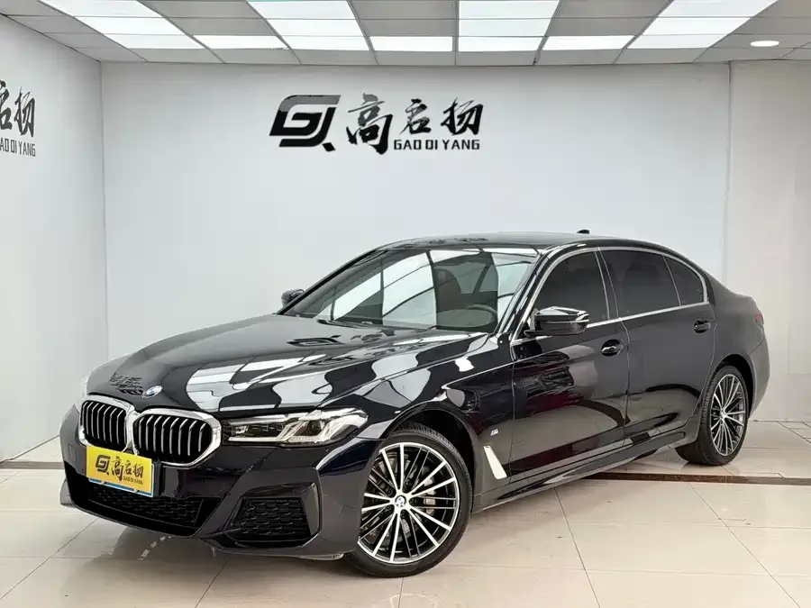 BMW 5 Series BMW 5 Series 2022 530Li Leading M Sport Package 2023 — фото 1, купить с доставкой в Москву