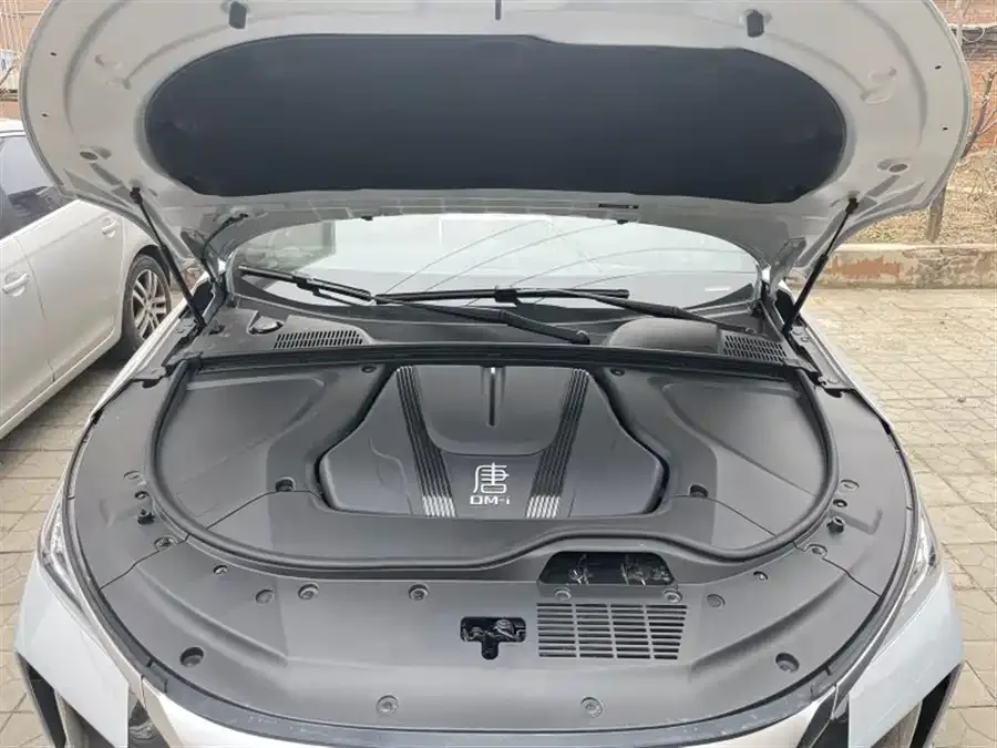 BYD Tang New Energy Tang New Energy 2024 DM-i Honor Edition 112KM Flagship Model 2024 — миниатюра 2
