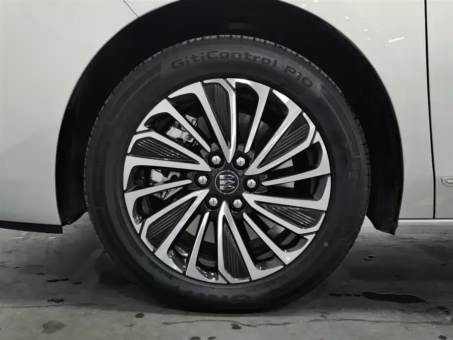 Buick GL8 New Energy Buick GL8 PHEV 2025 Land Cruiser Premium Edition 2025 — миниатюра 5