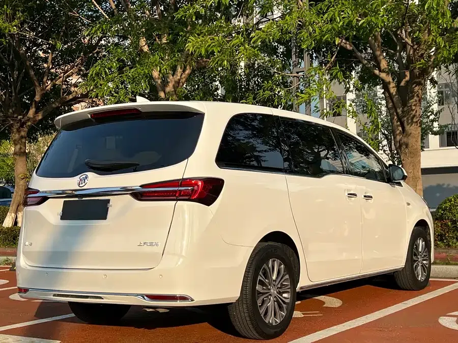 Buick GL8 2023 Land Business Class 652T Luxury Edition 2024 — миниатюра 3