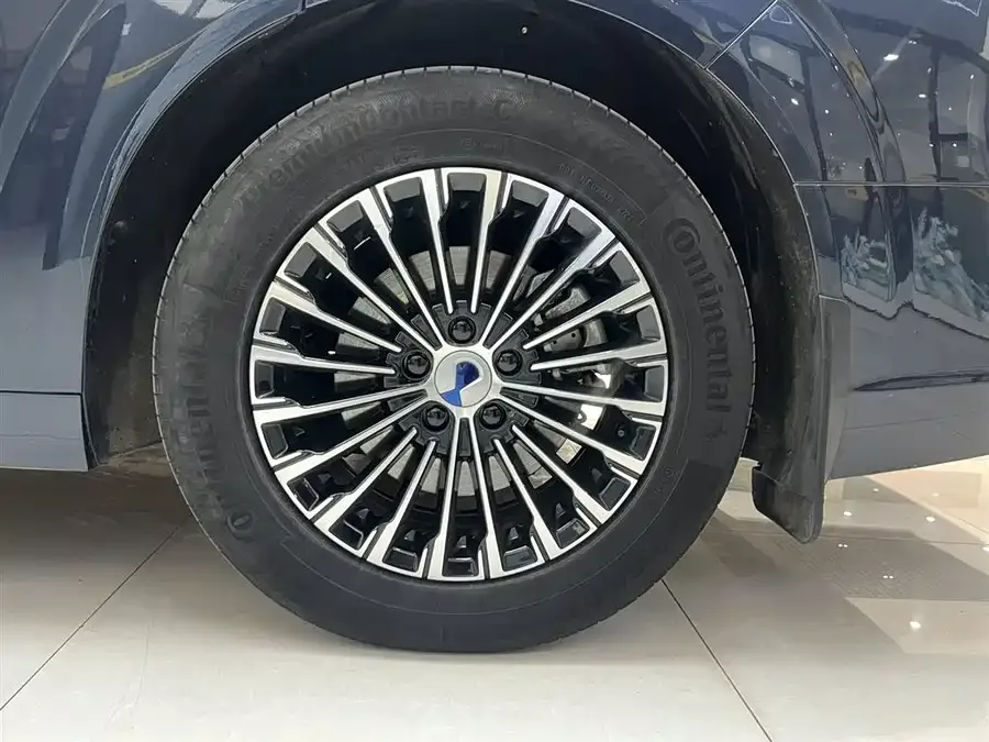 BYD D9 DENZA D9 2022 DM-i 970 4WD Premium Edition 2023 — миниатюра 3