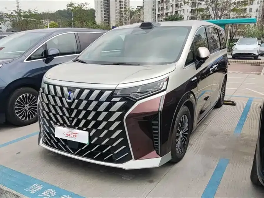 BYD D9 2025