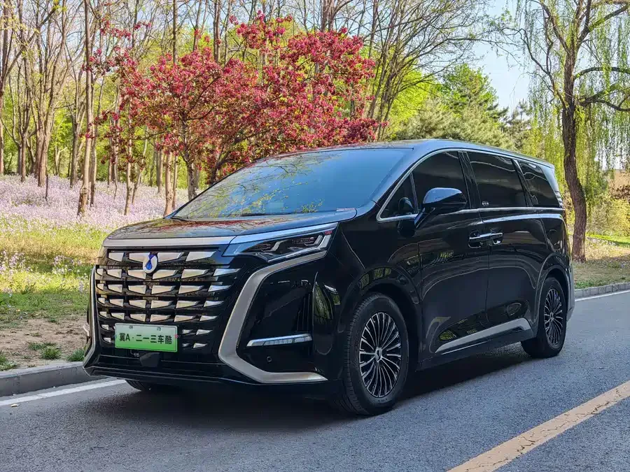 BYD D9 2025