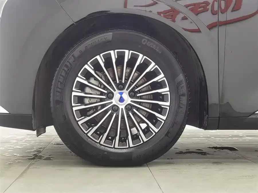 BYD D9 DENZA D9 2024 DM-i 1050 Premium Edition 2024 — миниатюра 5