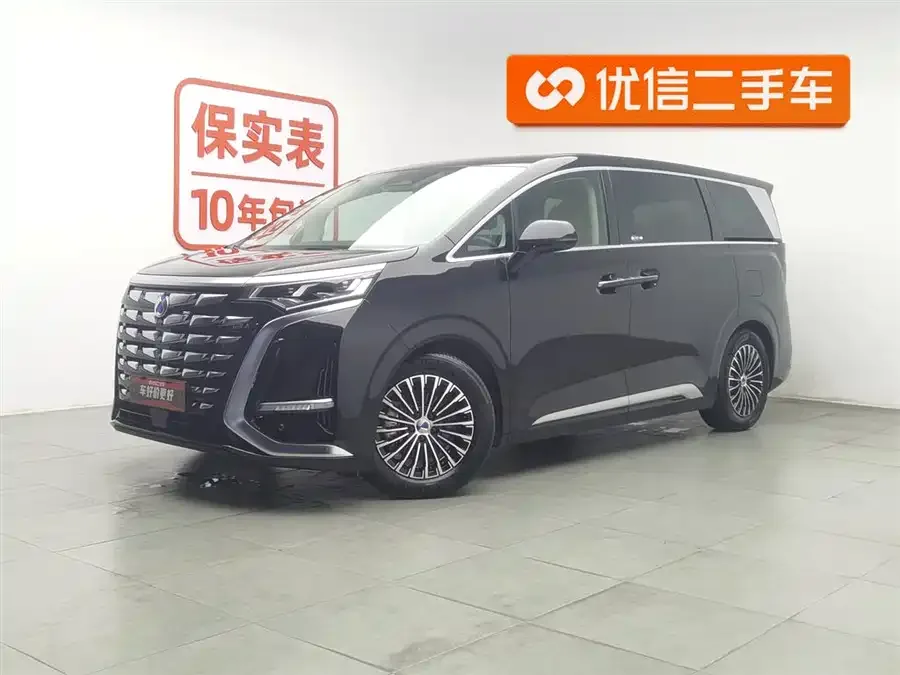 BYD D9 2024
