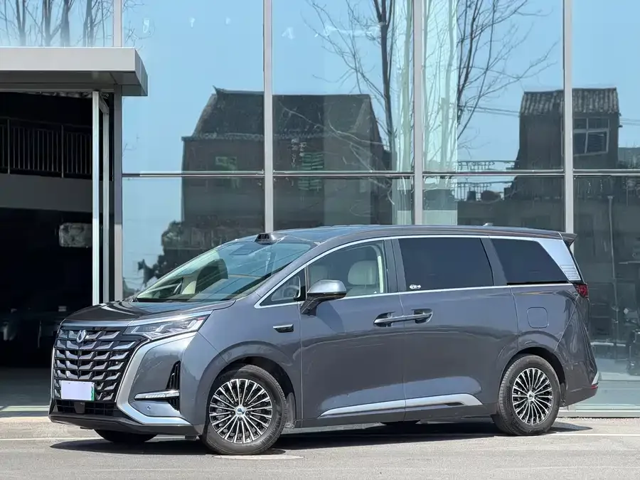 BYD D9 2025