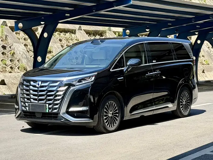 BYD D9 2025
