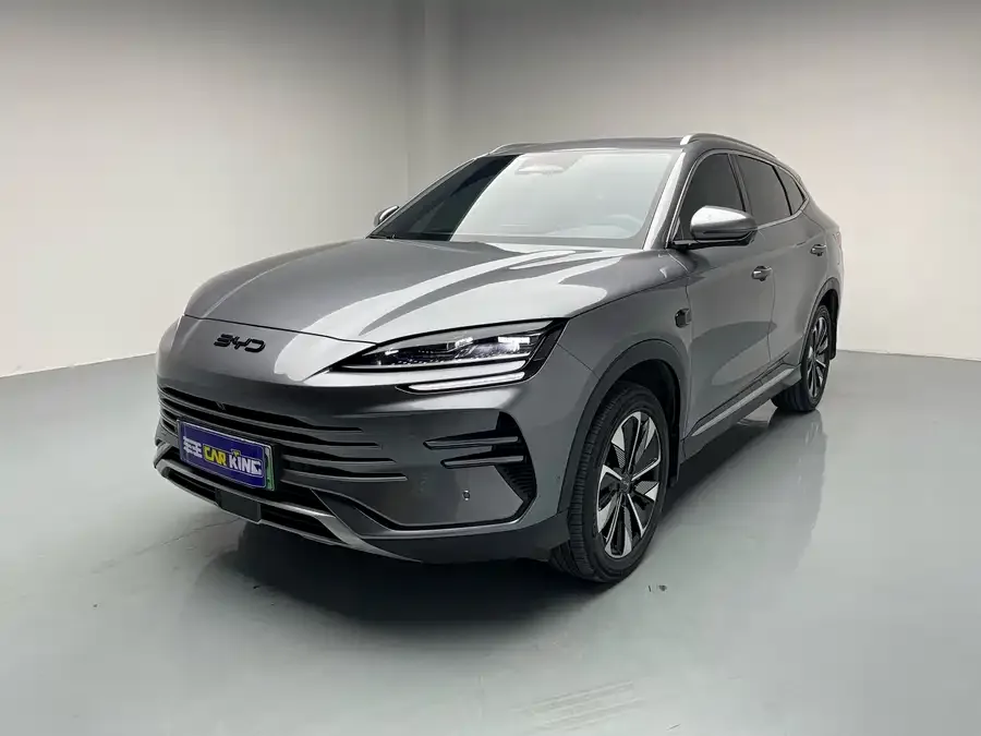 BYD Song PLUS New Energy 2025