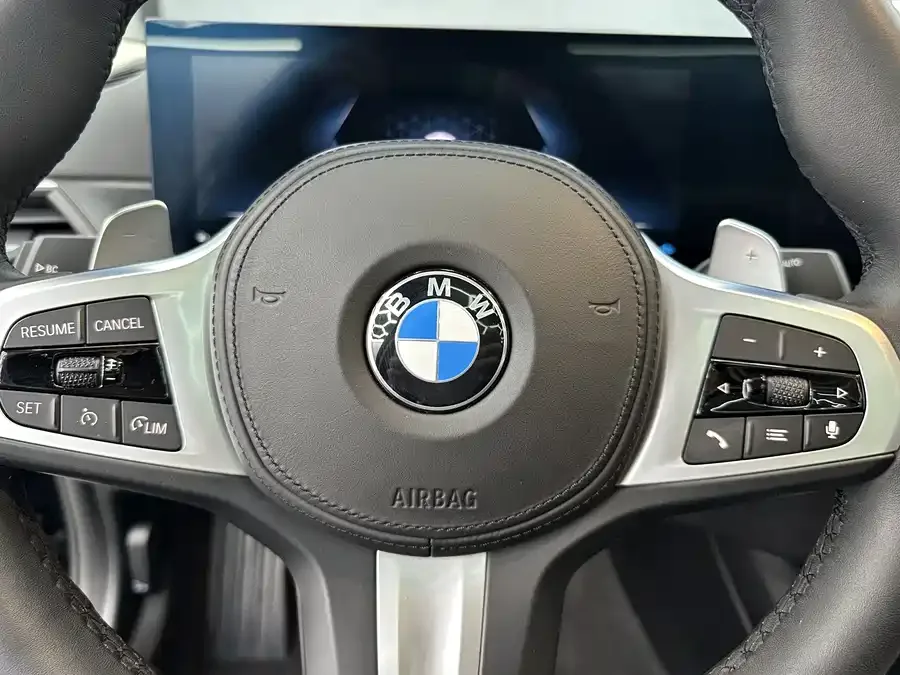 BMW 3 series BMW 3 Series 2023 320Li M Sport Package 2023 — миниатюра 4